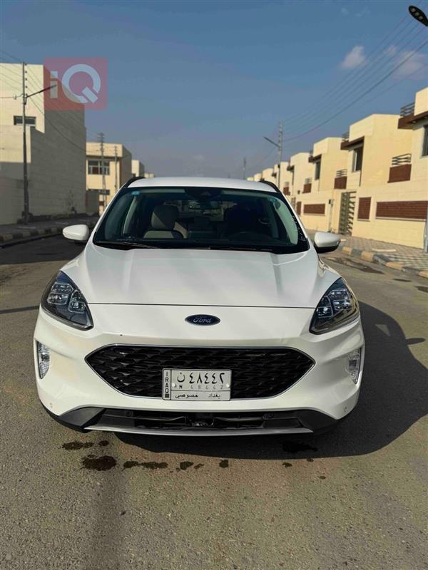 Ford for sale in Iraq